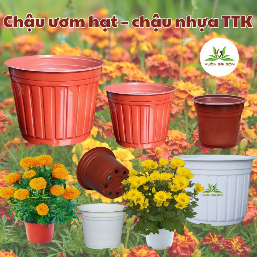 Chậu nhựa TTK