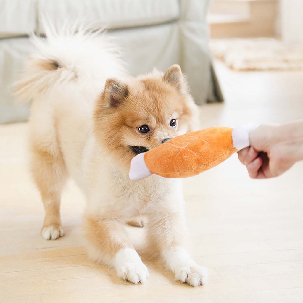 Đồ Chơi Cho Chó Con Đực Poodle To Mèo Cún Lớn Thú Cưng Nhỏ Phốc Sóc Bự Gặm Cắn Ngứa Răng Cào Móng Có Tiếng Kêu Tự Động