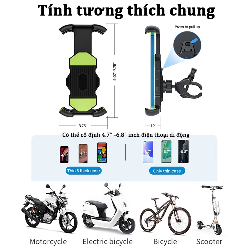 Ảnh 7