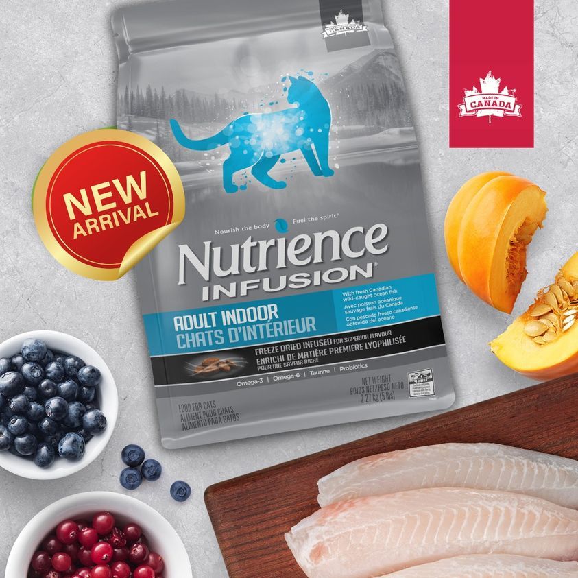 Ảnh Nutrience Infusion Cá Biển cho Mèo trưởng thành - Cá biển, dầu cá hồi và rau củ quả tự nhiên 500g 2
