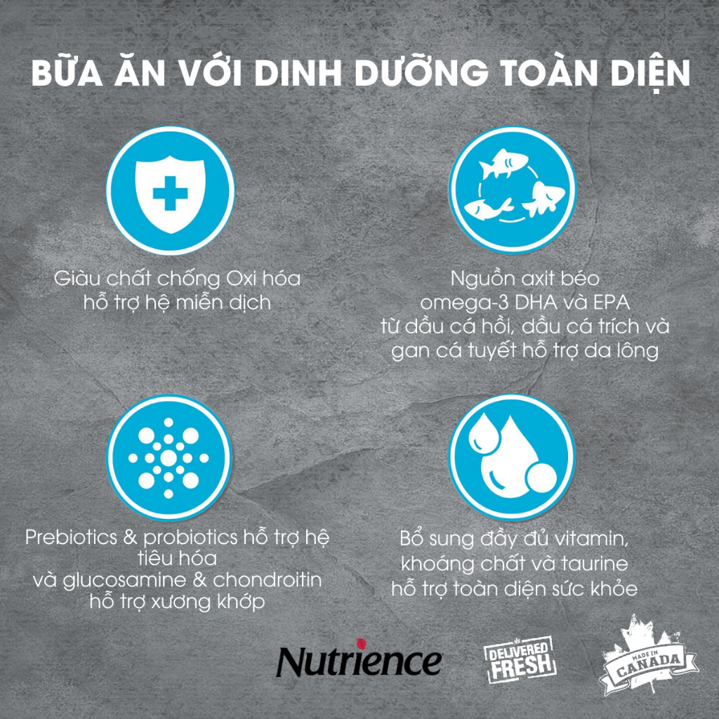 Ảnh Nutrience Infusion Cá Biển cho Mèo trưởng thành - Cá biển, dầu cá hồi và rau củ quả tự nhiên 500g 3