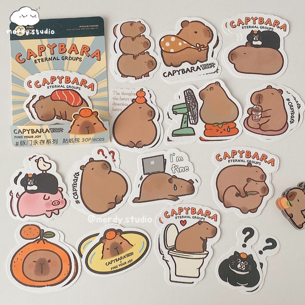 Set 30 tấm sticker Capybara size to | Shopee Việt Nam
