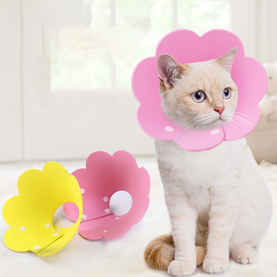 Loa Đeo Cổ Cho Mèo Con Chó Cún Thú Cưng Poodle Vòng Đeo Cổ Chống Ve Rận Liếm Trộm Bông Hoa Số 1 Chống Ngoái Chào Mào 10k