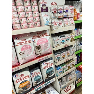 ROYAL CANIN WET FOOD -  PATE THỨC ĂN ƯỚT CHO MÈO NHIỀU LOẠI