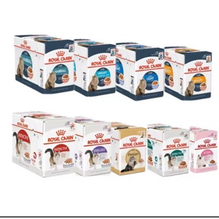 ROYAL CANIN WET FOOD -  PATE THỨC ĂN ƯỚT CHO MÈO NHIỀU LOẠI