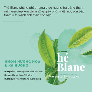 Nước hoa Solinotes nước hoa nam nữ hương thơm năng động, độ lưu hương 8h chai 15ml