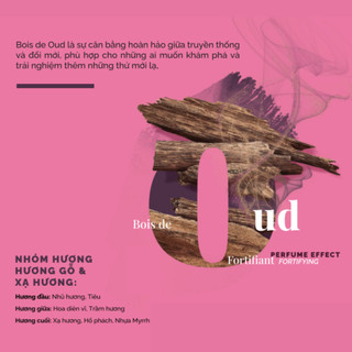 Nước hoa nam Solinotes Bois de Oud dầu thơm nam hương gỗ trầm thơm lâu dạng xịt độ lưu hương 8h