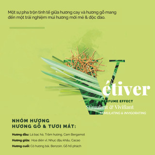 Nước hoa nam Solinotes Vetiver dầu thơm nam hương cỏ bài thơm lâu dạng xịt độ lưu hương 8h