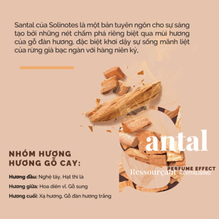 Nước hoa nam Solinotes Santal dầu thơm nam hương gỗ đàn hương thơm lâu dạng xịt độ lưu hương 8h