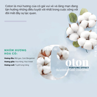 Nước hoa Pháp Solinotes Cotton hương hoa bông gòn thơm lâu dạng xịt độ lưu hương 8h