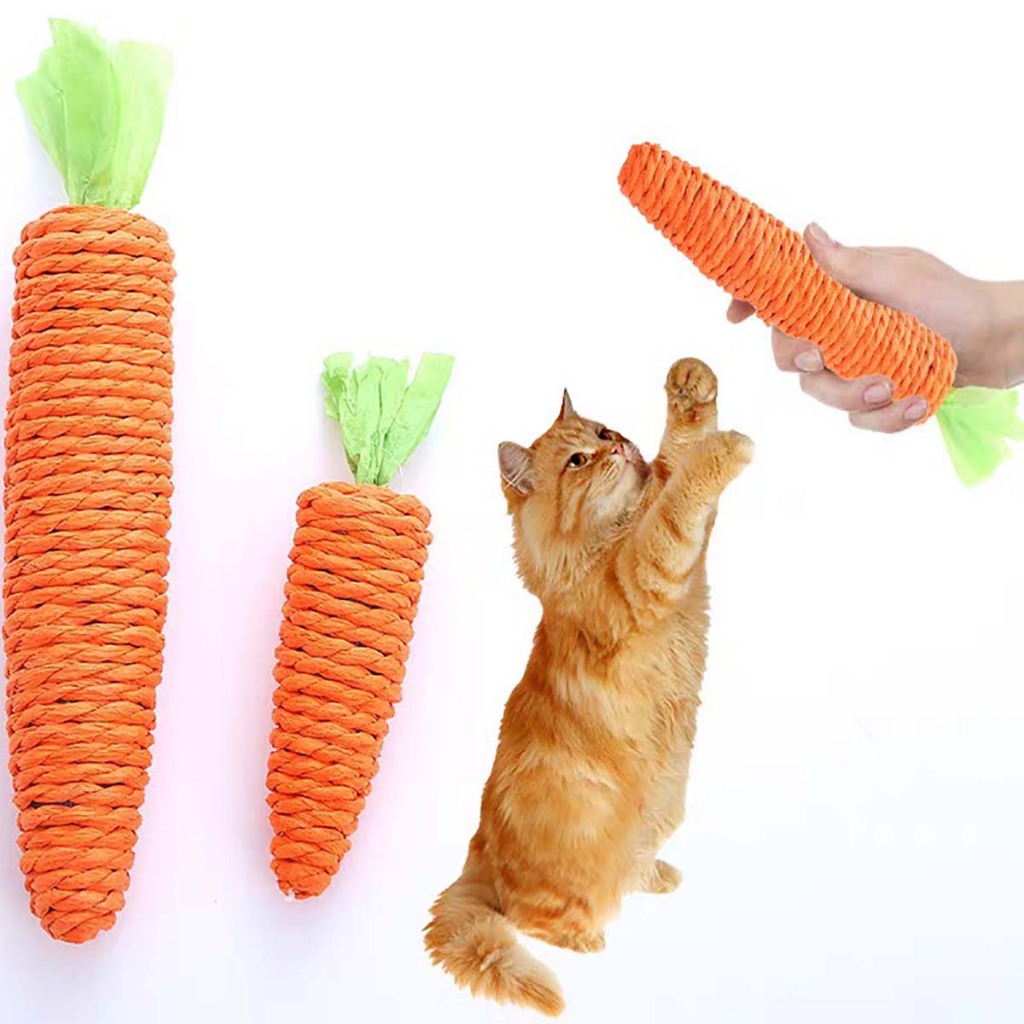Đồ Chơi Dành Cho Mèo Con Cún Thú Cưng Chó Lớn Poodle Phốc Sóc Nhỏ Bự Tự Chơi Đuổi Bắt Cắn Cào Móng Giá Rẻ Gặm Ngứa Răng