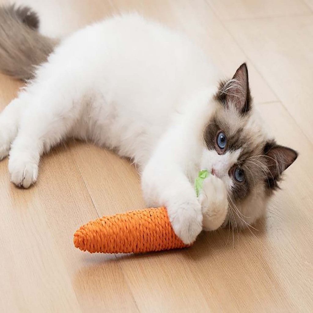 Đồ Chơi Dành Cho Mèo Con Cún Thú Cưng Chó Lớn Poodle Phốc Sóc Nhỏ Bự Tự Chơi Đuổi Bắt Cắn Cào Móng Giá Rẻ Gặm Ngứa Răng