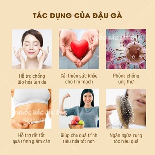 Đậu gà hữu cơ 500g (Hạt dinh dưỡng, nấu soup, làm sữa hạt, tốt cho người ăn kiêng)
