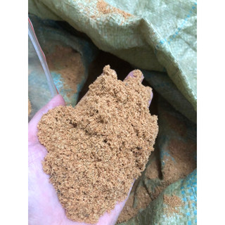 Bột gỗ Ngọc Am thơm nức xông nhà tẩy uế tăng vượng khí đuổi côn trùng Muỗi