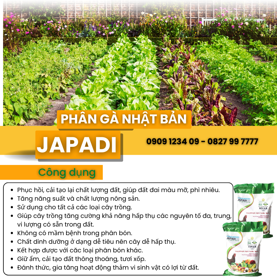 Phân Gà JAPADI Nhật Bản 10