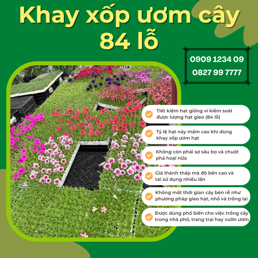 Khay xốp ươm cây 84 lỗ - Khay ươm hạt giống 3