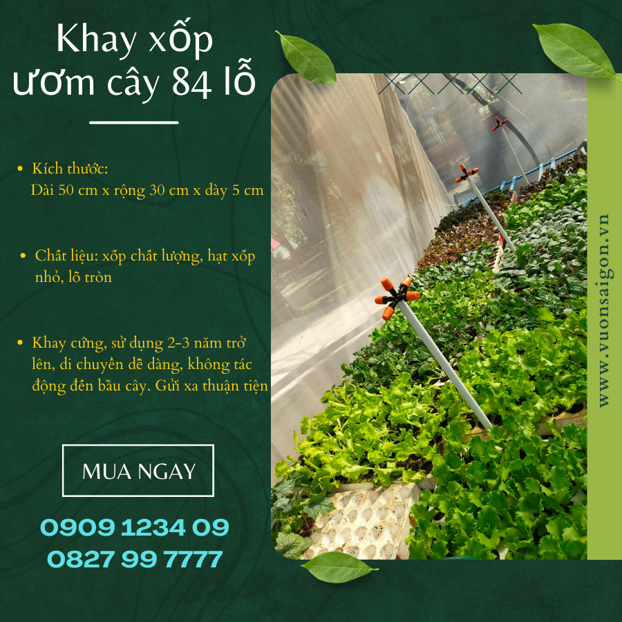 Khay xốp ươm cây 84 lỗ - Khay ươm hạt giống 2