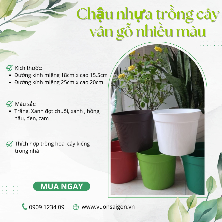 Chậu nhựa trồng cây chậu vân gỗ nhiều Màu 15