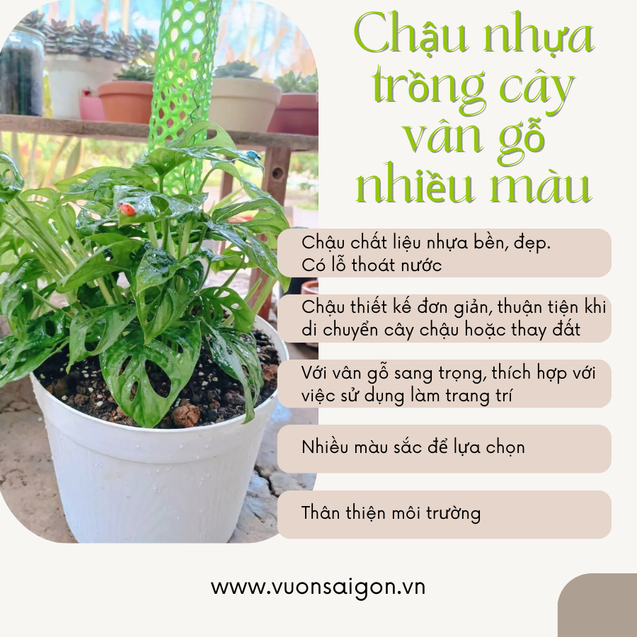 Chậu nhựa trồng cây chậu vân gỗ nhiều Màu 17