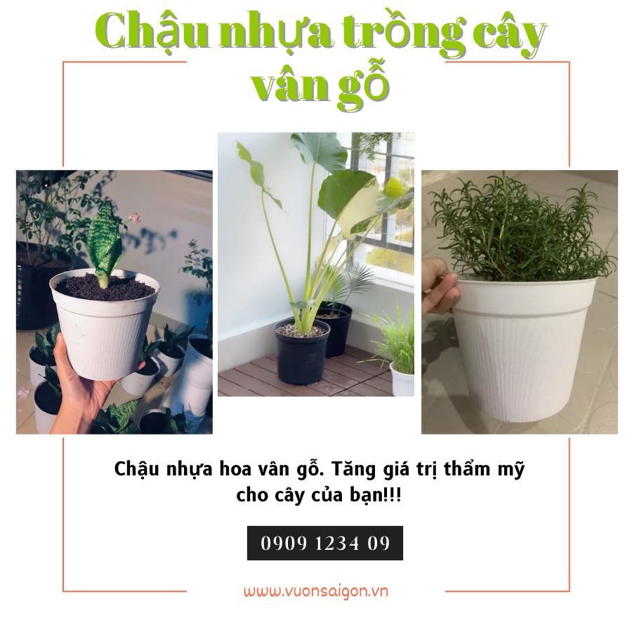Chậu nhựa trồng cây chậu vân gỗ nhiều Màu 16