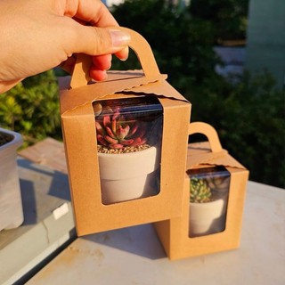 [KÈM HỘP QUÀ] Set Sen đá mix được trồng sẵn trong chậu nung nhiều size  Mầm Nắng Garden lỗi 1 đền 1