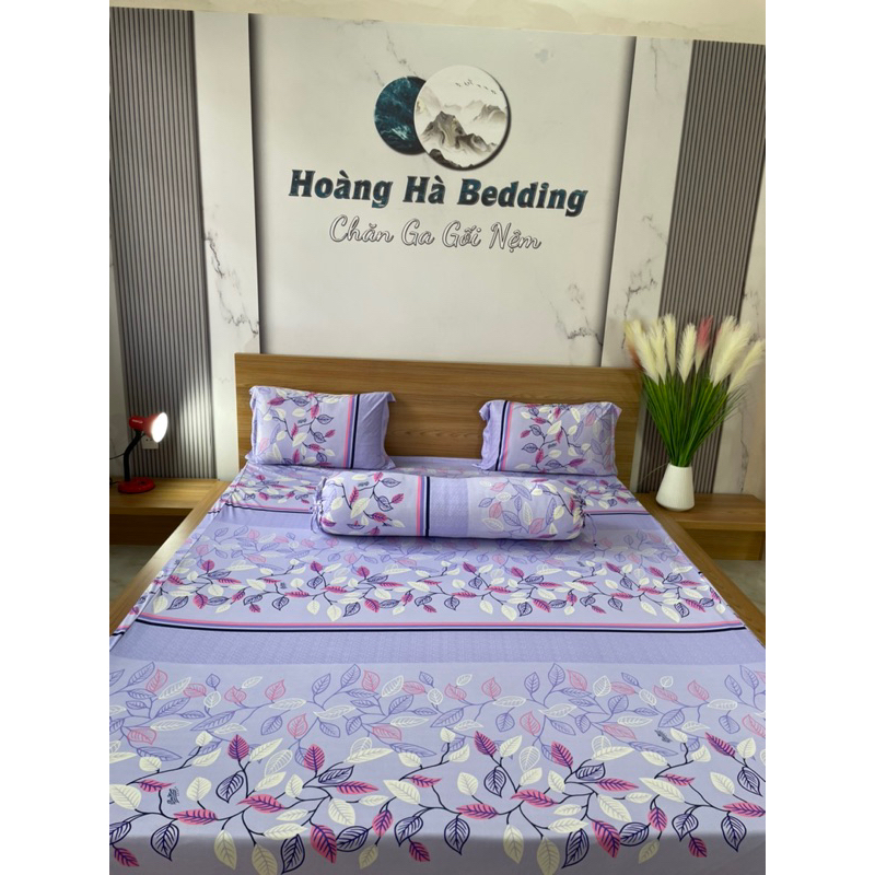Bộ ga thun hàn quốc 4 món rẻ đẹp