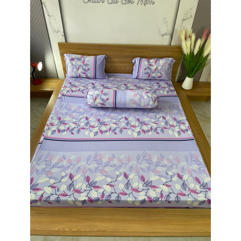 Bộ ga thun hàn quốc 4 món rẻ đẹp