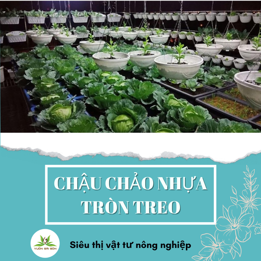 Chậu treo chảo tròn AD chậu nhựa 5