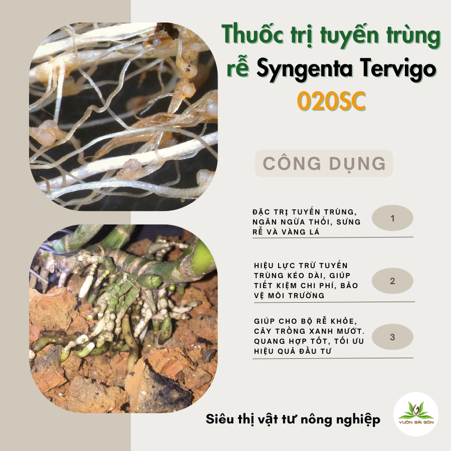 Thuốc trị tuyến trùng rễ Syngenta Tervigo 020SC 2