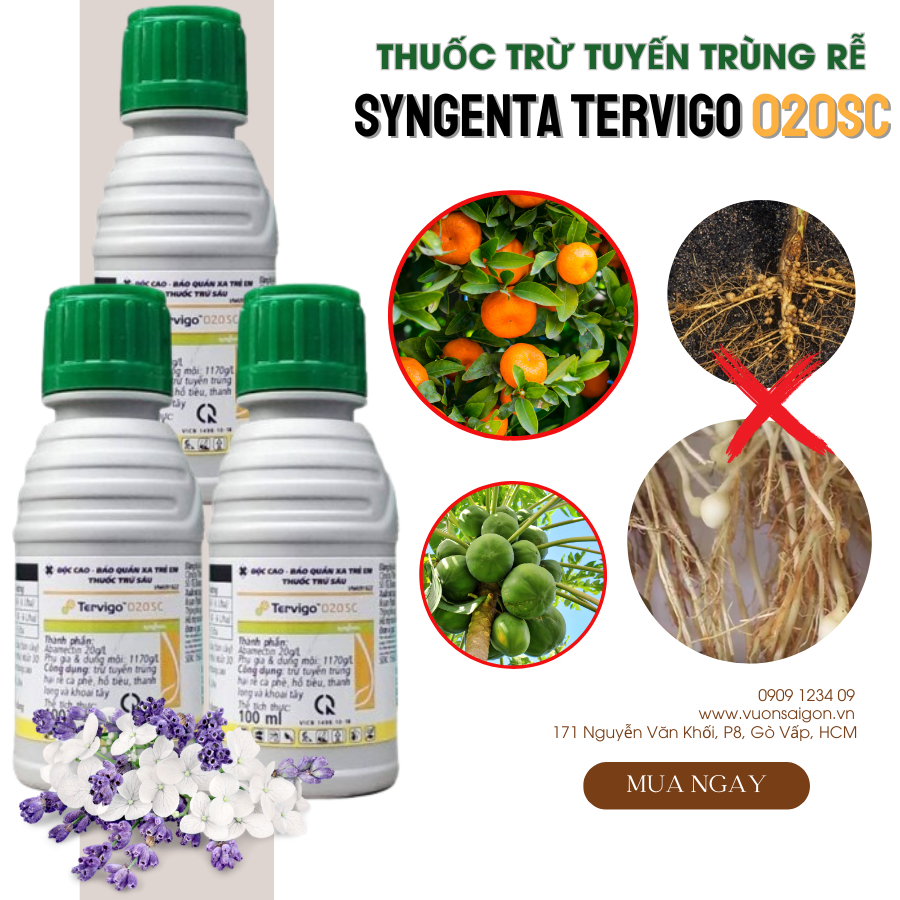 Thuốc trị tuyến trùng rễ Syngenta Tervigo 020SC 4