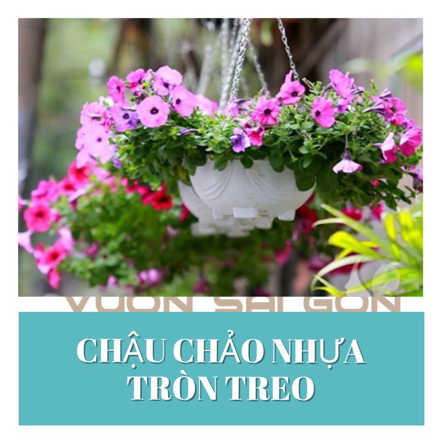 Chậu treo chảo tròn AD chậu nhựa 3