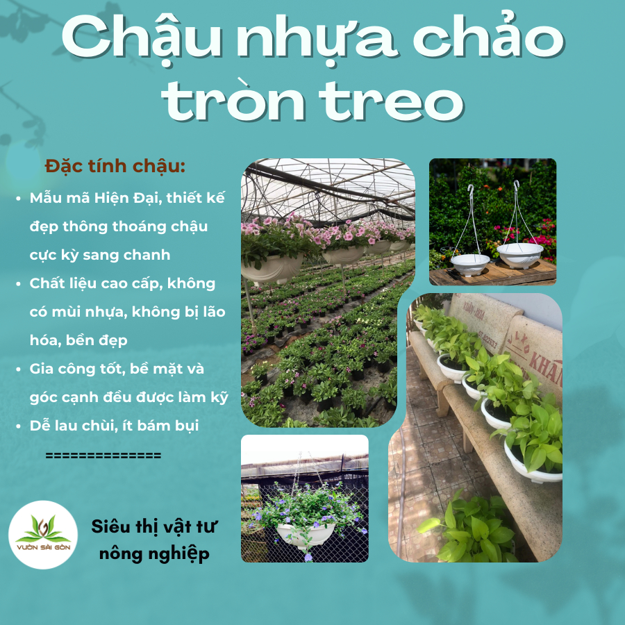 Chậu treo chảo tròn AD chậu nhựa 4