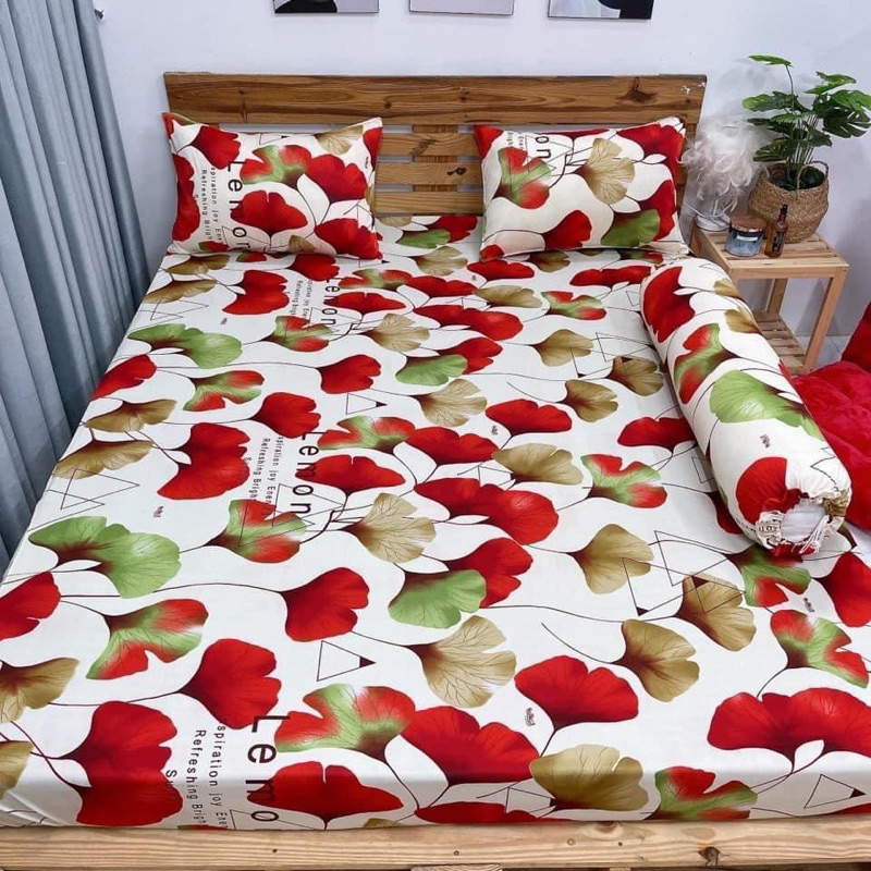 (ôm cột dây )bộ ga thun Hàn quốc 4 món
