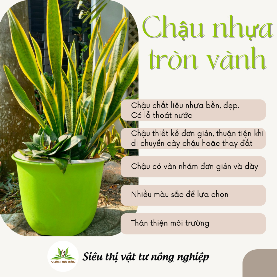 Chậu tròn vành tròn chậu nhựa trồng cây 3