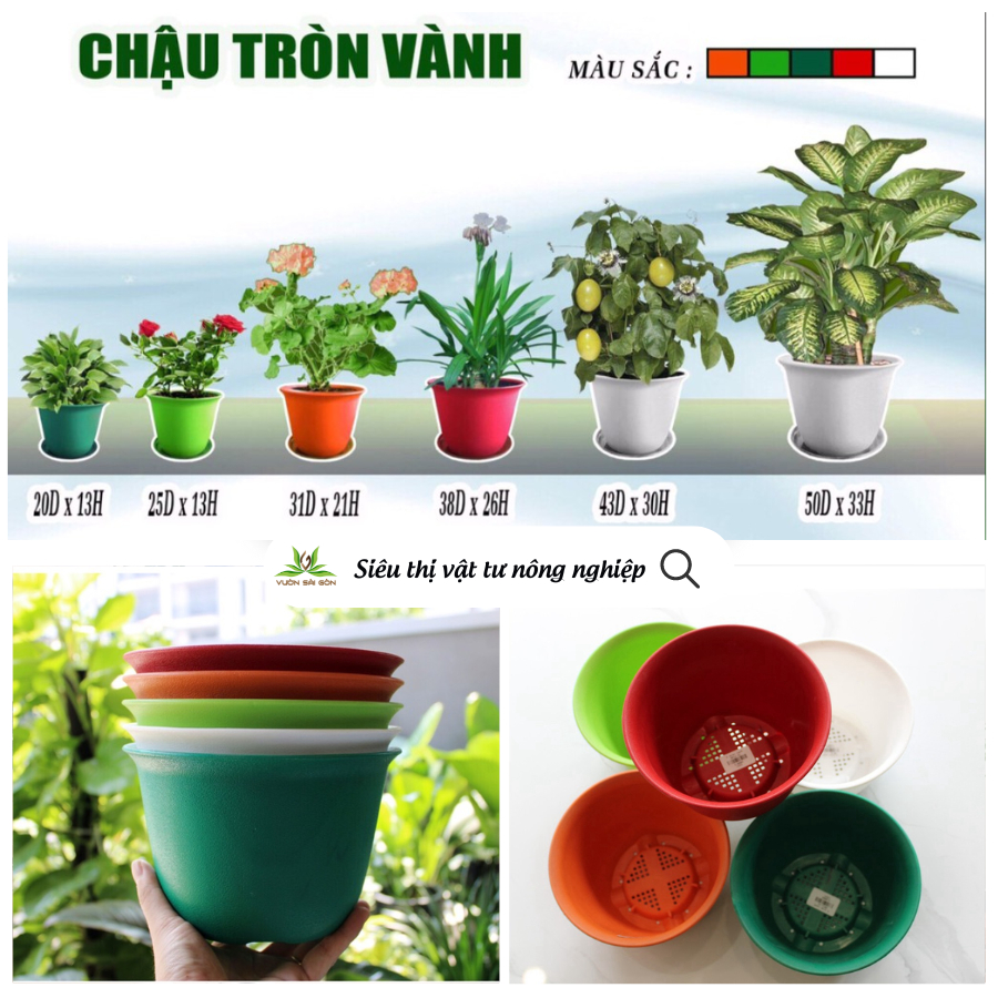 Chậu tròn vành tròn chậu nhựa trồng cây 1