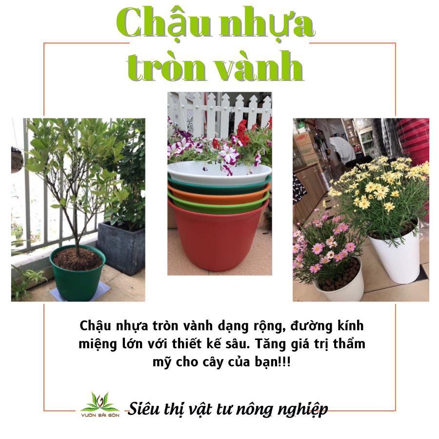 Chậu tròn vành tròn chậu nhựa trồng cây 4