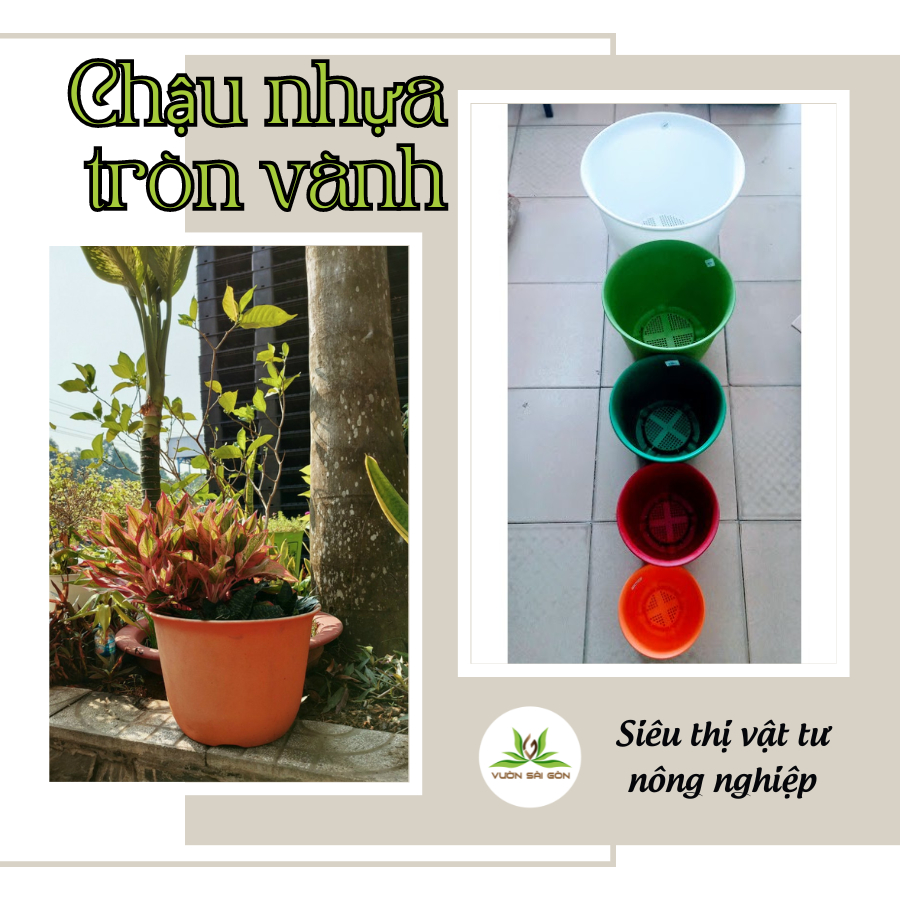 Chậu tròn vành tròn chậu nhựa trồng cây 5