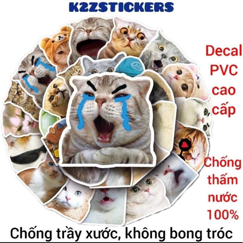 Gói 50 hình dán sticker mèo cute, chó vui nhộn chống nước, dán mũ bảo ...