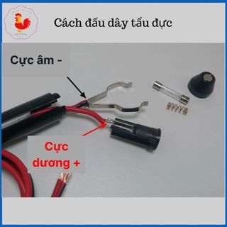 Đầu tẩu đực ô tô 20A 12V 24V có cầu chì bảo vệ