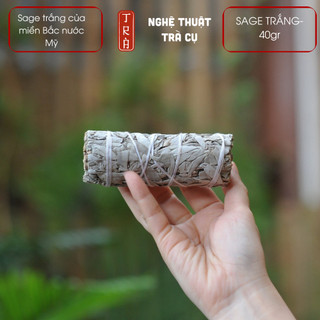 WHITE SAGE 10cm 40grm- xô thơm trắng miền bắc nước Mỹ thanh tẩy và thu hút năng lượng an lành