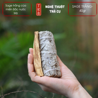 WHITE SAGE 10cm 40grm- xô thơm trắng miền bắc nước Mỹ thanh tẩy và thu hút năng lượng an lành