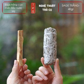 WHITE SAGE 10cm 40grm- xô thơm trắng miền bắc nước Mỹ thanh tẩy và thu hút năng lượng an lành