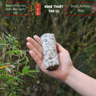 WHITE SAGE 10cm 40grm- xô thơm trắng miền bắc nước Mỹ thanh tẩy và thu hút năng lượng an lành