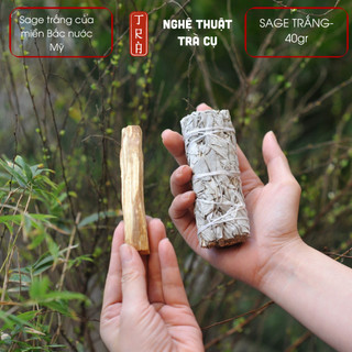 WHITE SAGE 10cm 40grm- xô thơm trắng miền bắc nước Mỹ thanh tẩy và thu hút năng lượng an lành