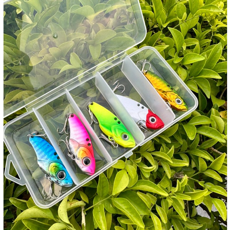 Bộ Combo 5 con cá sắt R45 ( 10g ) | Shopee Việt Nam