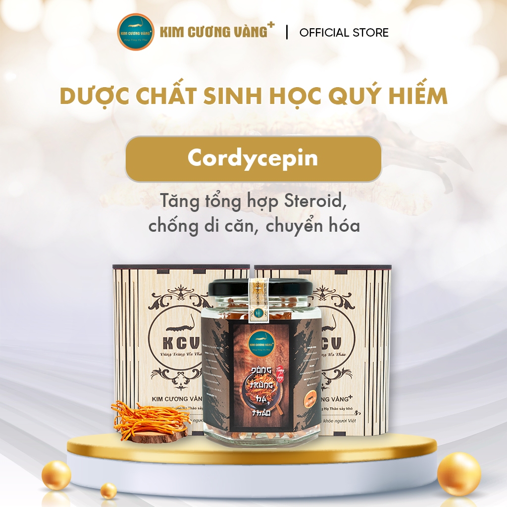 Ảnh Combo 3 Tặng 1 Đông Trùng Hạ Thảo Khô Kim Cương Vàng Tăng Cường Đề Kháng (10Gr/Hộp Gỗ) 4