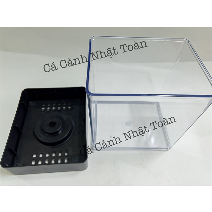 Bể Cá Betta Mica (có nắp) Siêu Trong, Hiện Đai 15x15x12cm