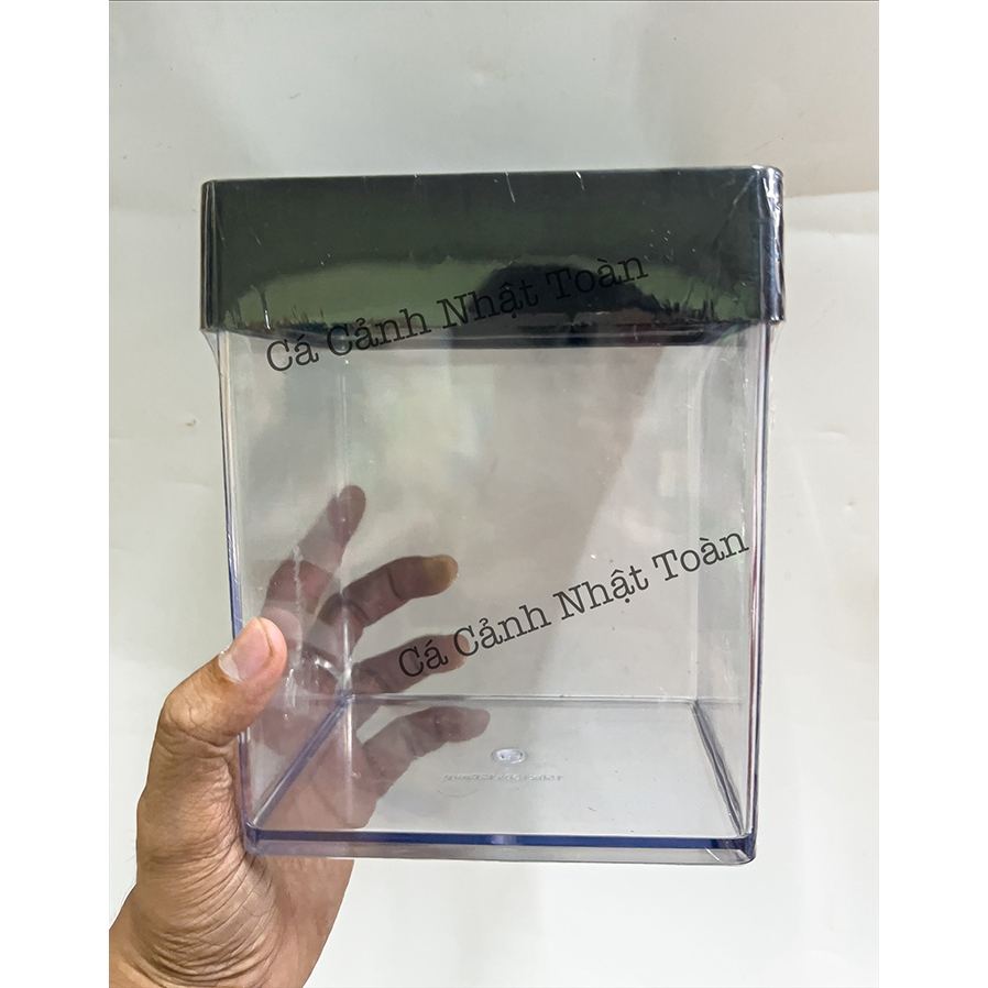 Bể Cá Betta Mica (có nắp) Siêu Trong, Hiện Đai 15x15x12cm