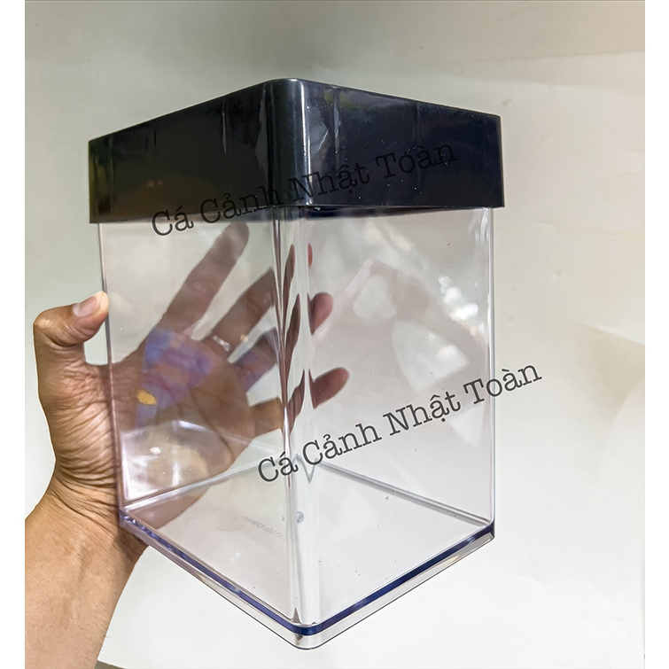 Bể Cá Betta Mica (có nắp) Siêu Trong, Hiện Đai 15x15x12cm