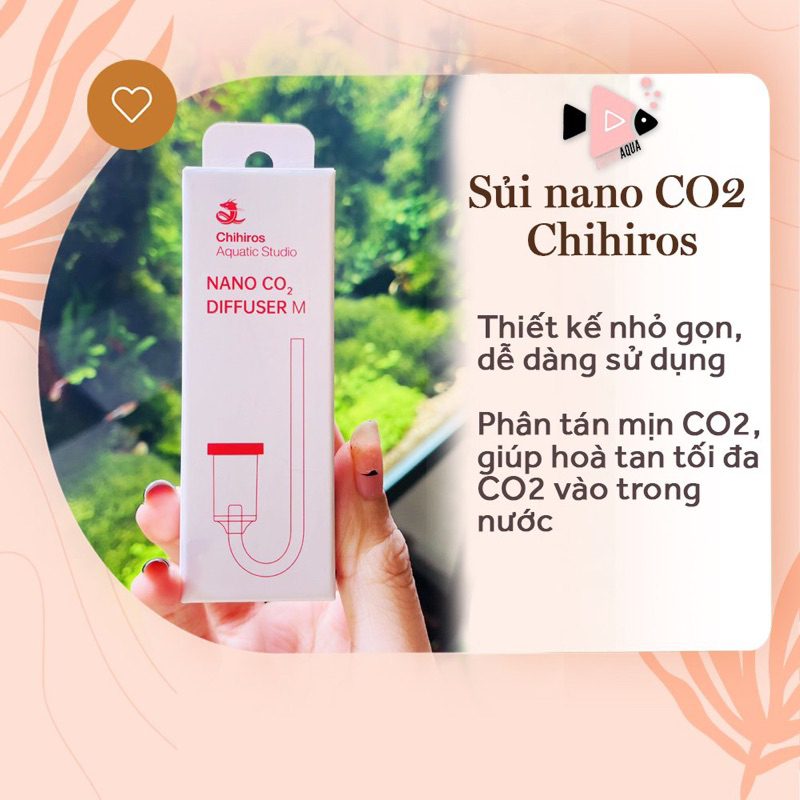 Chihiros Nano CO2 Diffuser | Sủi CO2 Chihiros Mịn Cho Hồ Cá Thuỷ Sinh ...